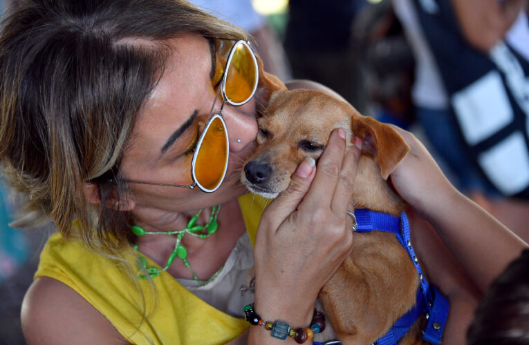 PATİFEST HERKESİ MEMNUN ETTİ