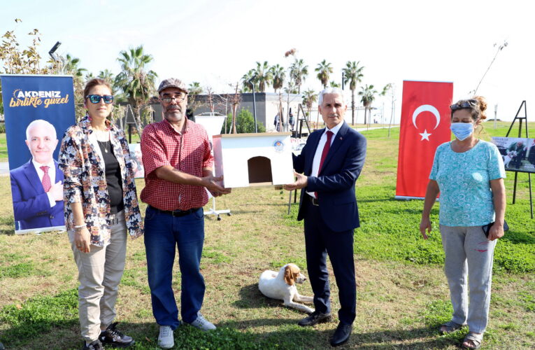 Kimi hayvan severler kendi can dostu için, kimisi sokakta yaşayan canlar için aldı