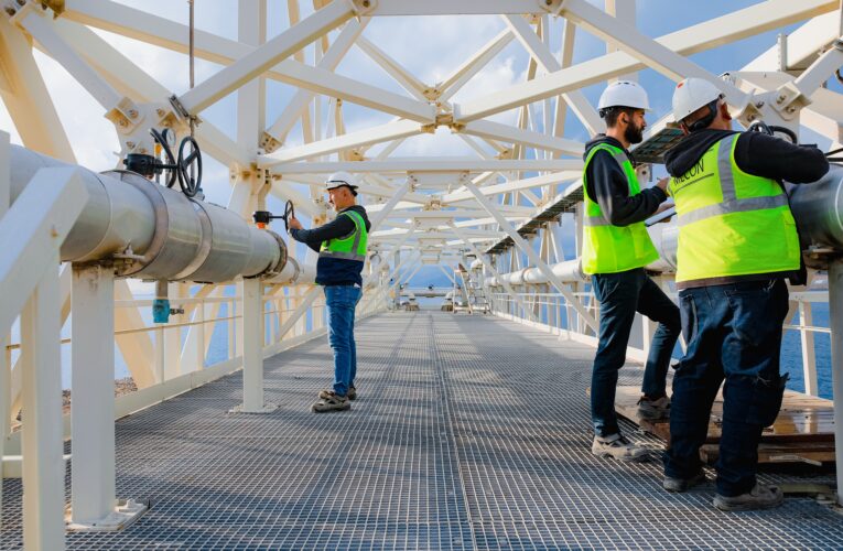 AKKUYU NÜKLEER GÜÇ SANTRALİ’NDE GEÇİCİ TUZDAN ARINDIRMA TESİSİ ÇALIŞMAYA BAŞLADI