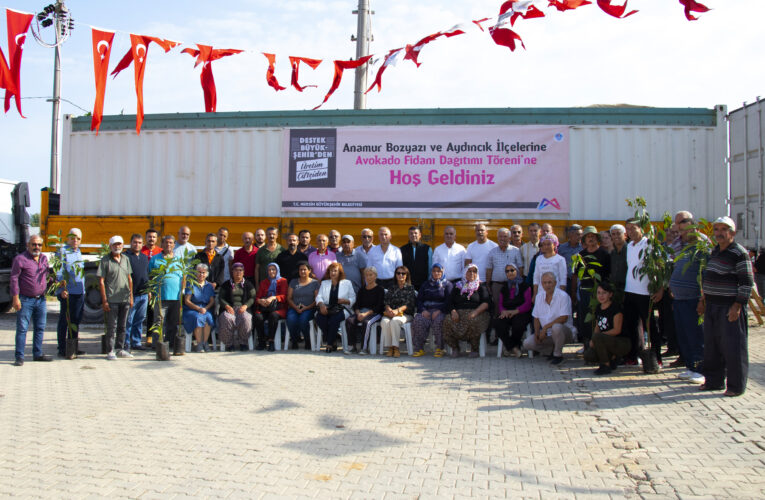 BÜYÜKŞEHİR, AVOKADO FİDANI DAĞITIMLARININ 2. ETABINI TAMAMLADI