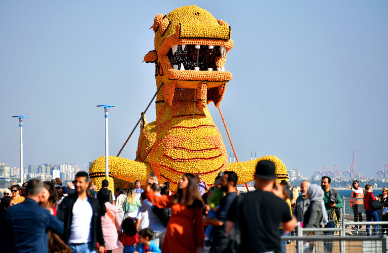 GÖKAYAZ: “BU FESTİVALLERİN, ŞEHRİMİZ AÇISINDAN ÇOK BÜYÜK BİR ÖNEMİ VAR”