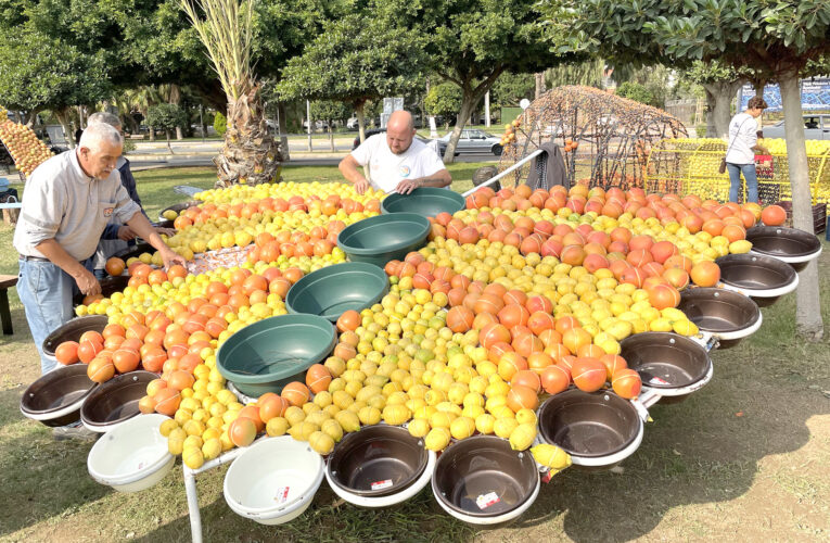 “MERSİN’İ CANLI VE ENERJİK GÜNLER BEKLİYOR”