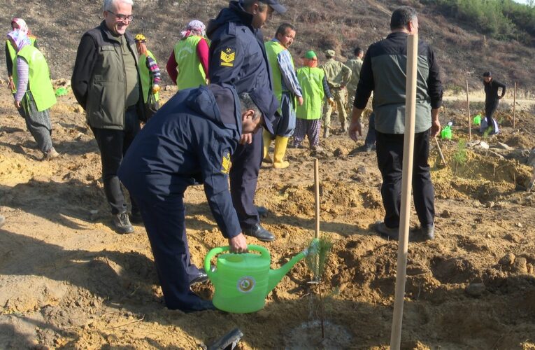 Yanan Sahaları Hep Birlikte Yeşertiyoruz