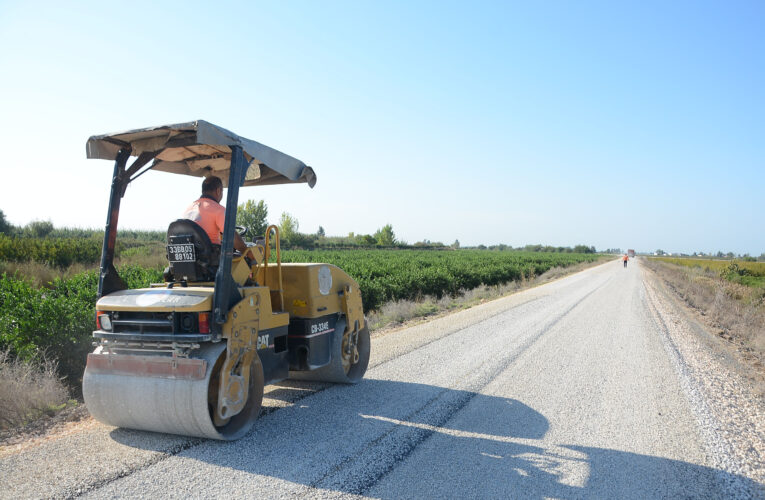 10 KÖYÜ BİRBİRİNE BAĞLAYAN 10 NUMARA YOL