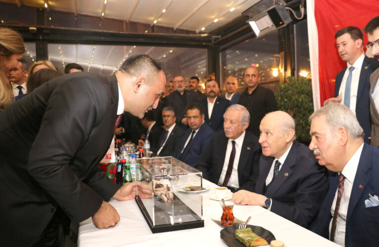 TEŞEKKÜRLER MERSİN!