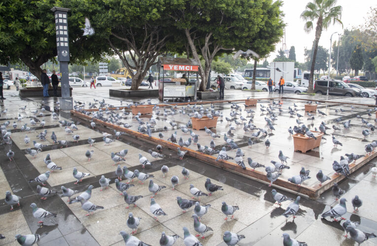 TARİHİ ULU ÇARŞI MEYDANI’NA YENİ BİR ‘GÜVERCİNEVİ’