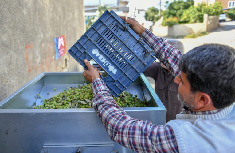 MERSİN BÜYÜKŞEHİR’DEN ÜRETİCİLERE İKİ ADET ZEYTİN BOYLAMA MAKİNESİ DAHA…