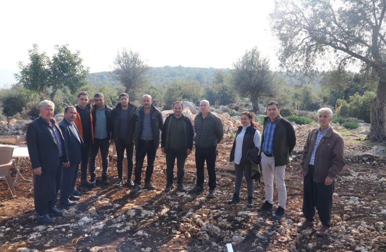 Tarsus’ta Keçiboynuzu Rehabilitasyon Çalışmaları Tamamlandı