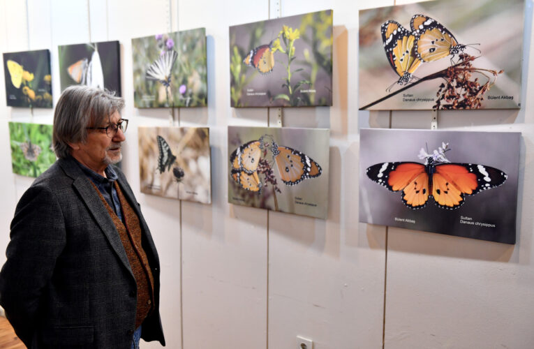 KENTİN SANATÇILARINI VATANDAŞLARLA BULUŞTURUYORUZ