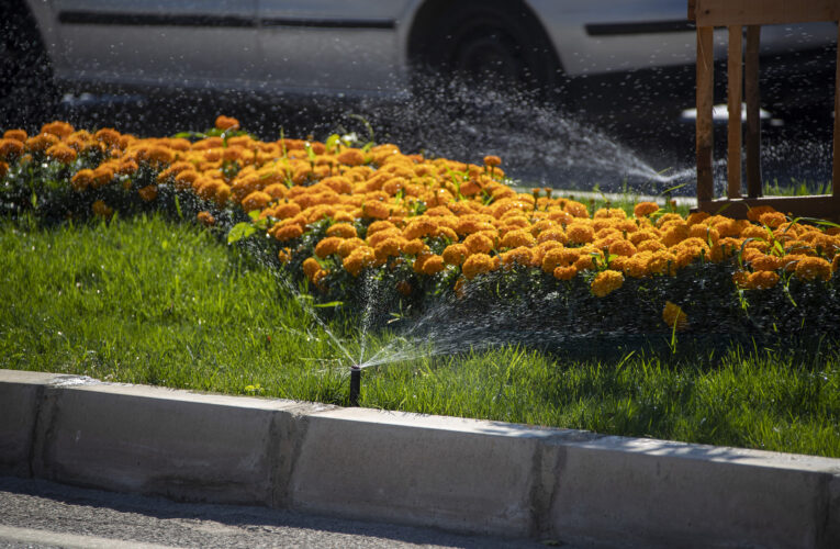 TÜM ÇABALAR YEŞİL BİR MERSİN İÇİN