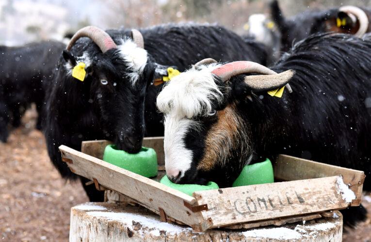 “PROJE, BENİM VE EŞİMİN HAYATINI DEĞİŞTİRDİĞİ GİBİ, ÇOCUKLARIMIN GELECEĞİNİ DE SAĞLADI”