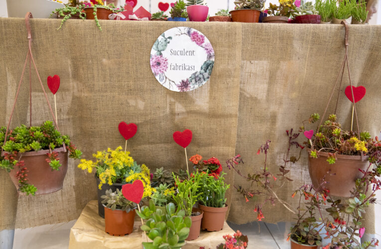 MERSİN BÜYÜKŞEHİR’DEN ÇİÇEK GİBİ PAZAR: ‘ÇİÇEK PAZARI’