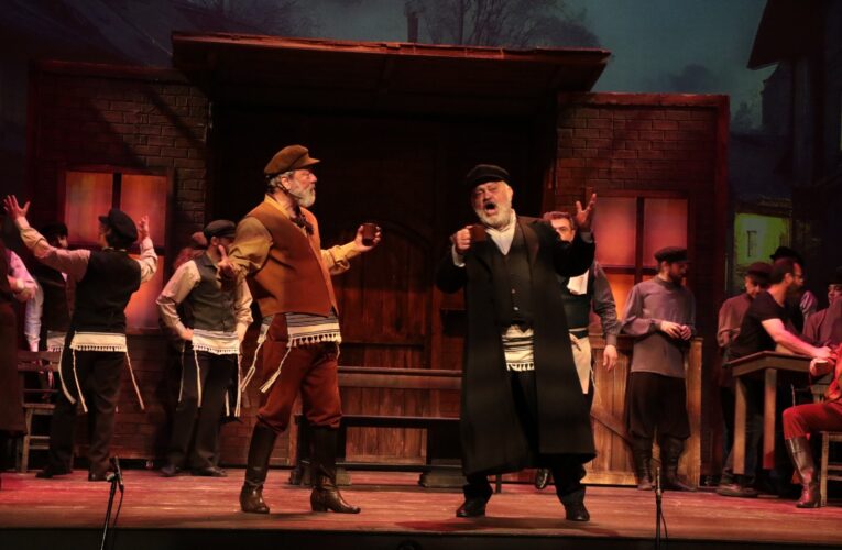 “Mersin DOB Damdaki Kemancı Prömiyeri ile geliyor”