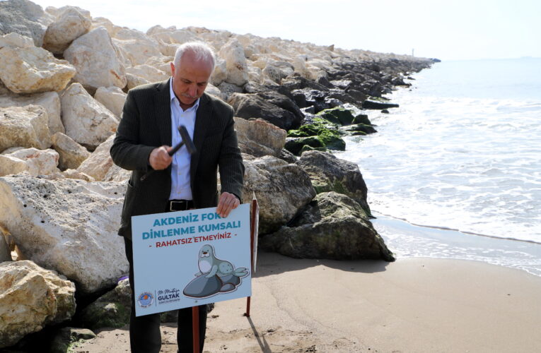 “AKDENİZ FOKLARI KORUMA ALTINDA”