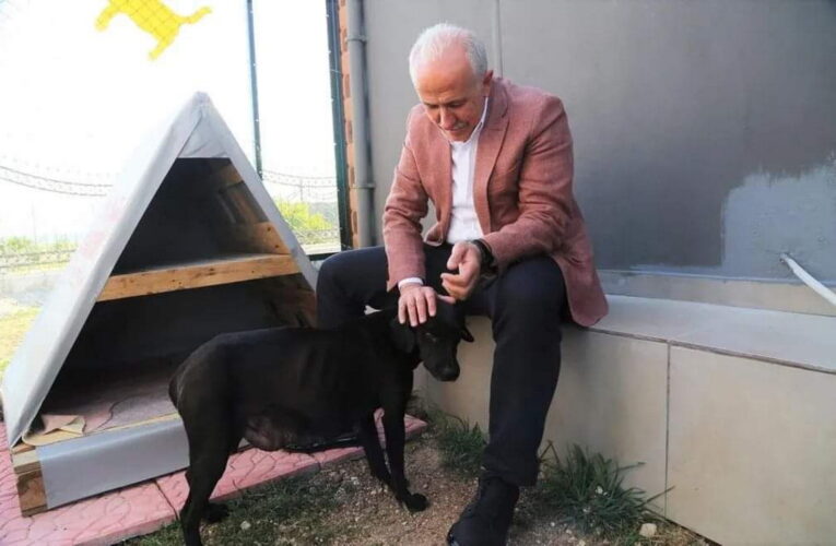 Akdeniz ilçesinde son 1 yılda bini aşkın kedi ile yaklaşık 40 köpek kısırlaştırıldı