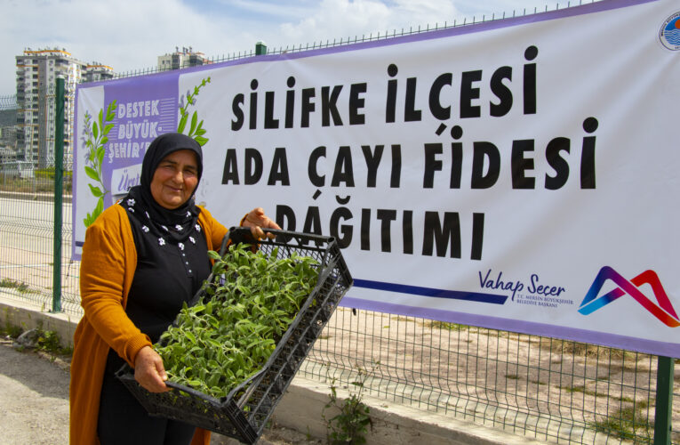 MERSİN BÜYÜKŞEHİR’DEN SİLİFKELİ ÜRETİCİYE 50 BİN ADET ADA ÇAYI FİDESİ