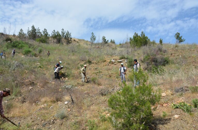 Yanan Sahalarda Bakım Çalışmaları Tamamlandı