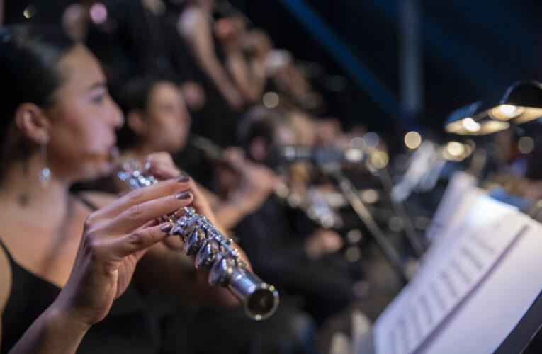 SEÇER, ‘MEMLEKETİM’ ŞARKISINDA ORKESTRAYI YÖNETTİ