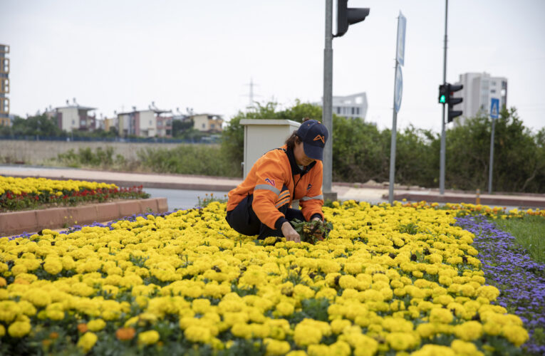 MEVSİMLİK ÇİÇEK DİKİMİYLE HER YER RENKLENİYOR