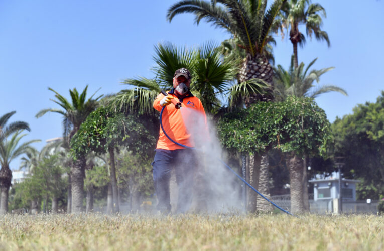 GÜNDÜZ; LARVA VE HAŞERE, GECE BOYUNCA DA UÇKUN İLAÇLAMASI YAPILIYOR