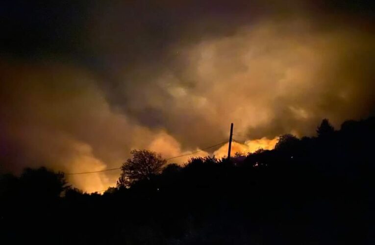 Anamur’da Orman Yangını