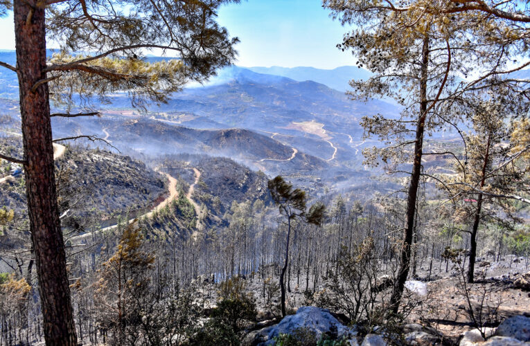 MERSİN İTFAİYE EKİPLERİ GÜLNAR ORMAN YANGININDA CANLA-BAŞLA MÜCADELE GÖSTERİYOR