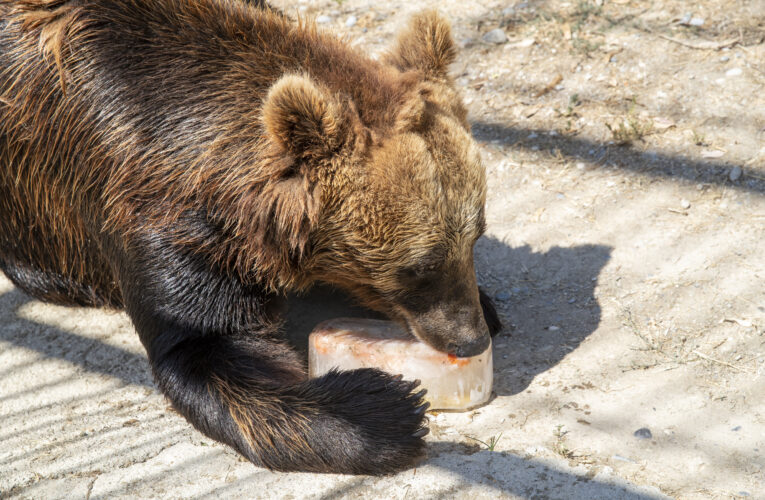 TARSUS DOĞA PARKI SAKİNLERİNE FISKİYELİ VE BUZLU MEYVELİ SERİNLİK