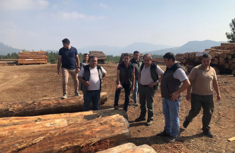 Bölge Müdürü Yalçın Çamlıyayla’da