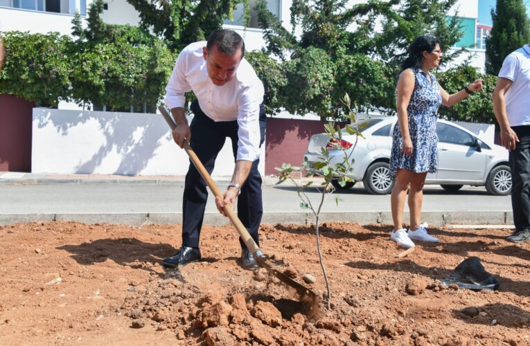 Yenişehir Belediyesi yeşil alan sayısını arttırıyor