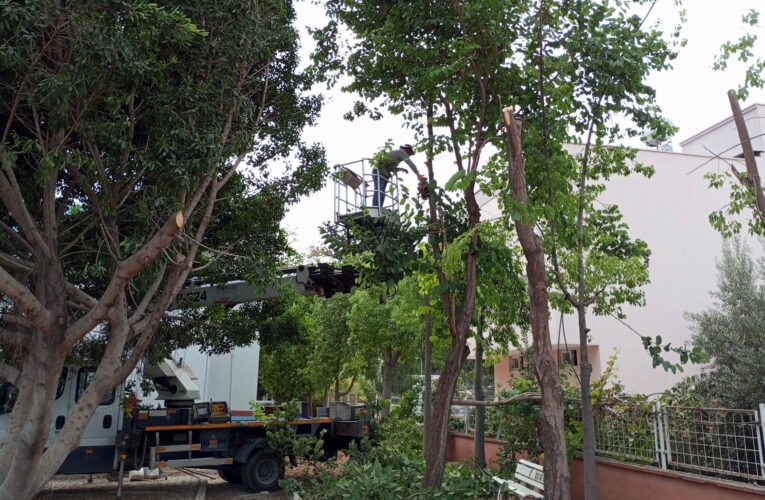 AKDENİZ’DE PARK, BAHÇE VE YEŞİL ALANLAR YENİLENİYOR