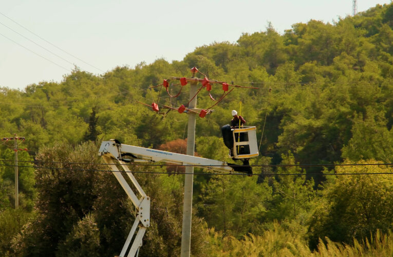 Toroslar EDAŞ göçmen kuşları yalıtımlı hatlarında ağırladı