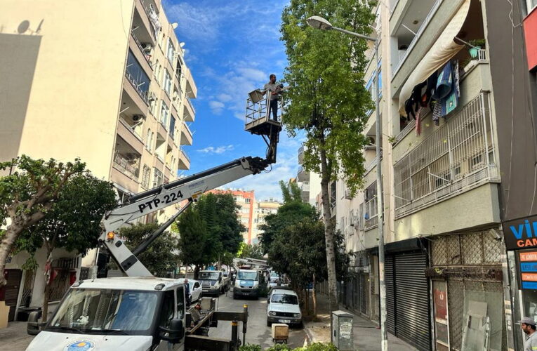 AKDENİZ’DE BUDAMA ÇALIŞMALARI SÜRÜYOR