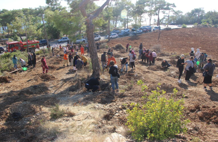Bozyazı’da Bin Adet Fidanı Toprakla Buluşturduk