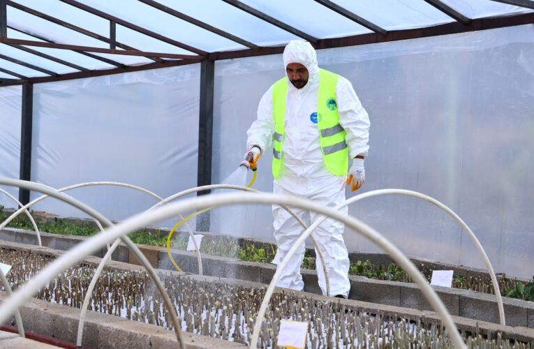 BAŞKAN YILMAZ; “ÜRETEN BİR BELEDİYEYİZ”