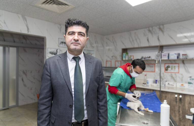 MERSİN’DE SAHİPSİZ HAYVANLARA UZANAN YARDIM ELİ; BÜYÜKŞEHİR BELEDİYESİ