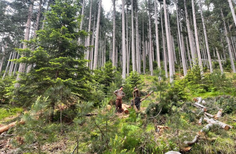 Çamlıyayla’da Üretim Sahaları Denetlendi