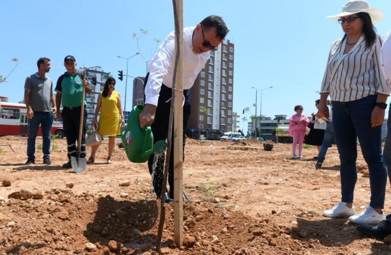 Yenişehir Belediyesi ağaçlandırma çalışmalarını sürdürüyor