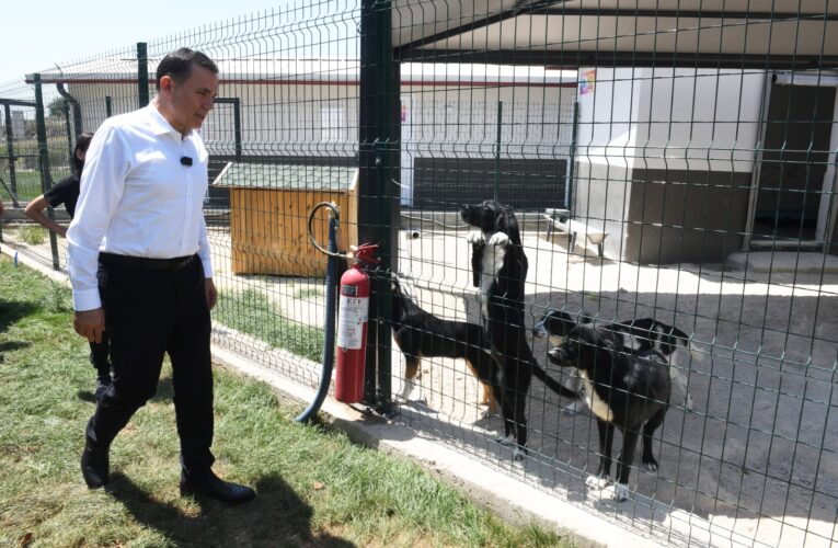 Başkan Özyiğit, “Bakımevimizde sokak hayvanlarını sahiplendirmeye başladık”