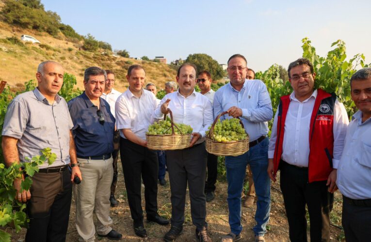 VALİ ALİ HAMZA PEHLİVAN, TARSUS TARIM KAMPÜSÜNDE ÜZÜM HASADI GERÇEKLEŞTİRDİ