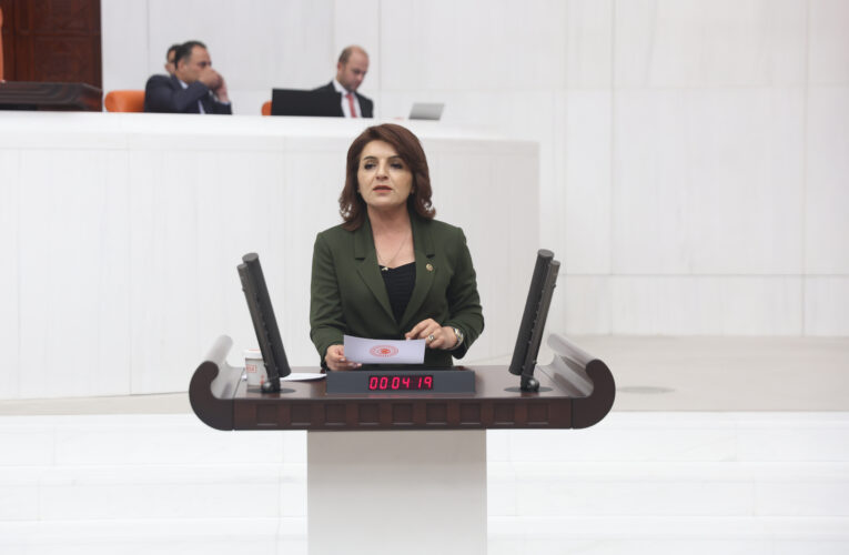 CHP Mersin Milletvekili Gülcan Kış: “Tarım Kredi Marketleri’nde Ucuzluk Masalı Sona Erdi”