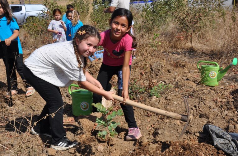Geleceğe Nefes Olmak İçin Yanan Alanlara İlk Fidanlar Öğrenciler Tarafından Dikildi