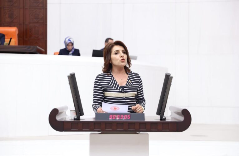 CHP MERSİN MİLLETVEKİLİ GÜLCAN KIŞ: “EYLÜL AYI VELİLERİN DERT AYI”