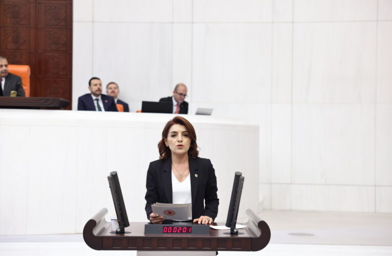 CHP’li Gülcan Kış: MEB’de Krizler Bitmiyor!