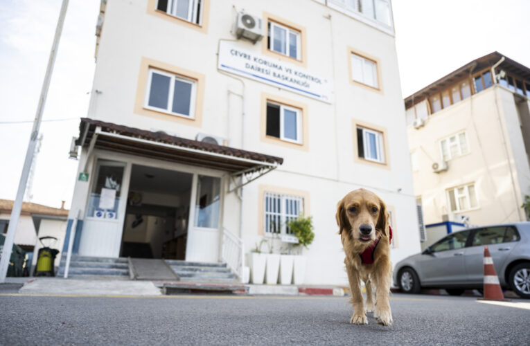 BAŞKAN SEÇER SÖZ VERDİ, BÜYÜKŞEHİR BİRİMLERİ CAN DOSTLARI SAHİPLENDİ