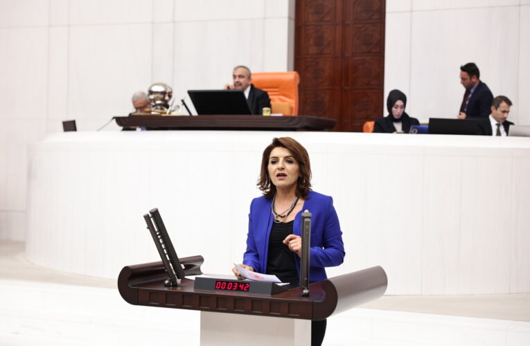 CHP Mersin Milletvekili Gülcan Kış 29 Ekim Cumhuriyet Bayramını Kutladı: “Cumhuriyetimizi İlk Genel Seçimde İktidarla Taçlandıracağız”