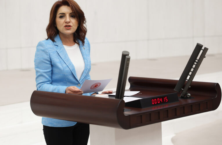 CHP Mersin Milletvekili Gülcan Kış, TBMM Genel Kurulu’nda Göç Politikalarını Eleştirdi