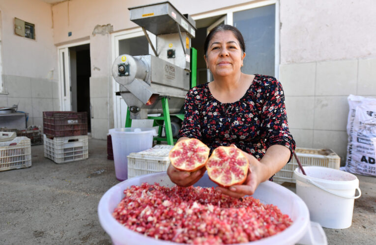 BÜYÜKŞEHİR’DEN BİR İLK: NAR TANELEME MAKİNESİ