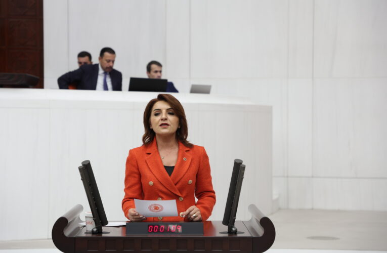 CHP Mersin Milletvekili Gülcan Kış’tan Döviz Bürolarındaki Fırsatçılık Üzerine Bakan Şimşek’e 10 Soru