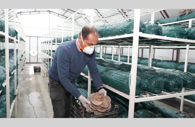 TARSUS BELEDİYESİ MANTAR YETİŞTİRİCİLİĞİ KURSU İLE HEM KAZANIYOR HEM DE KAZANDIRIYOR