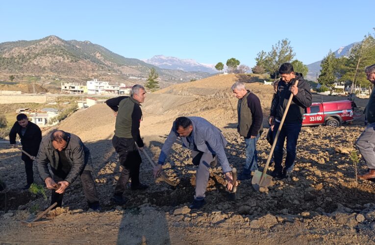 Anamur Karalarbahşiş Mezarlığına 800 Fidan Dikildi